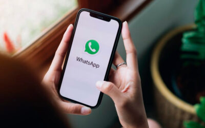 Por qué deberías usar el botón flotante de WhatsApp en tu página web