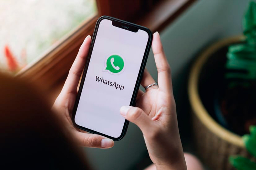 Por qué deberías usar el botón flotante de WhatsApp en tu página web